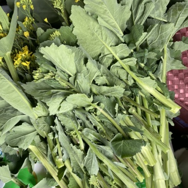油菜苔