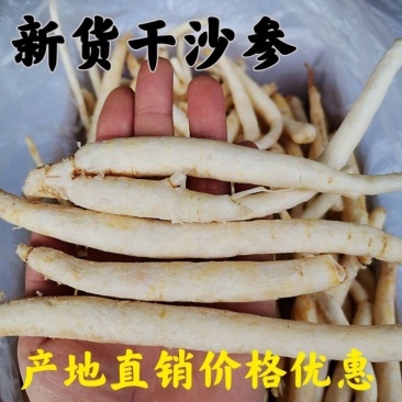 四川明沙参川明参包邮本色无硫南沙参中药材滋补品