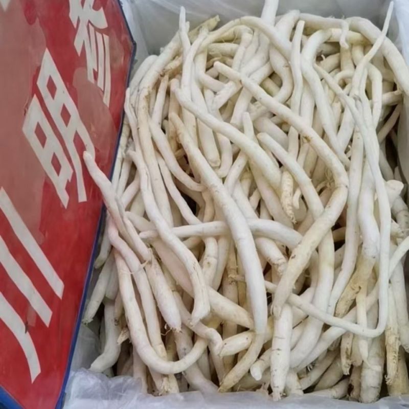 四川明沙参川明参包邮本色无硫南沙参中药材滋补品