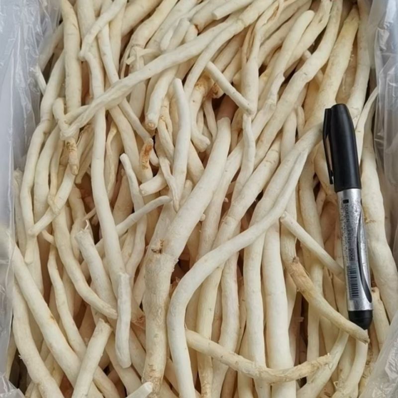 四川明沙参川明参包邮本色无硫南沙参中药材滋补品