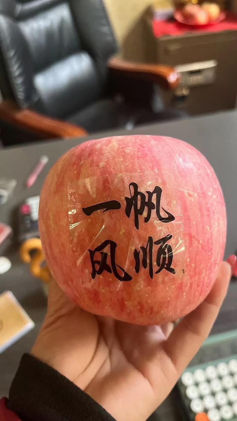 红富士苹果/山东苹果/冰糖心红富士苹果一手货源，大量批发