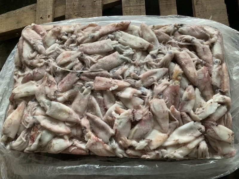 饲料鱿鱼。食用鱿鱼