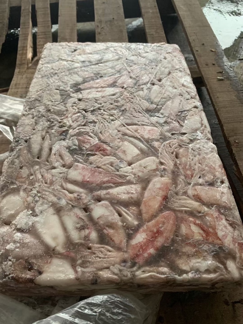 饲料鱿鱼。食用鱿鱼