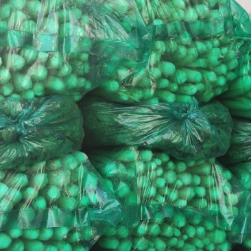 河南商丘夏邑精品西芹大量上市需要联系