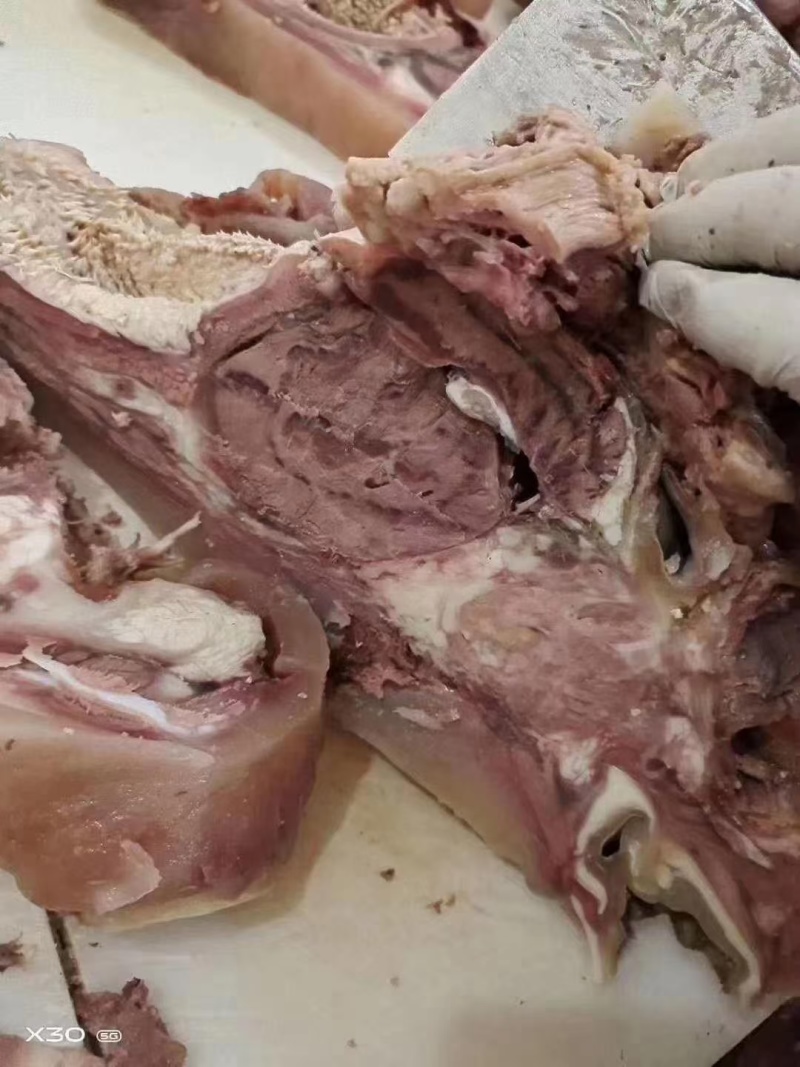 牛头肉6.9一斤