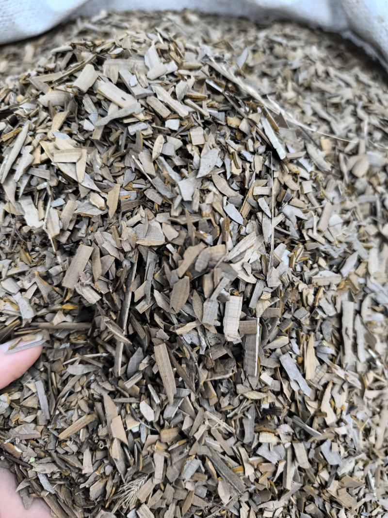 中药材鬼箭羽鬼见羽六月凌鬼见羽鬼剑羽现货批发
