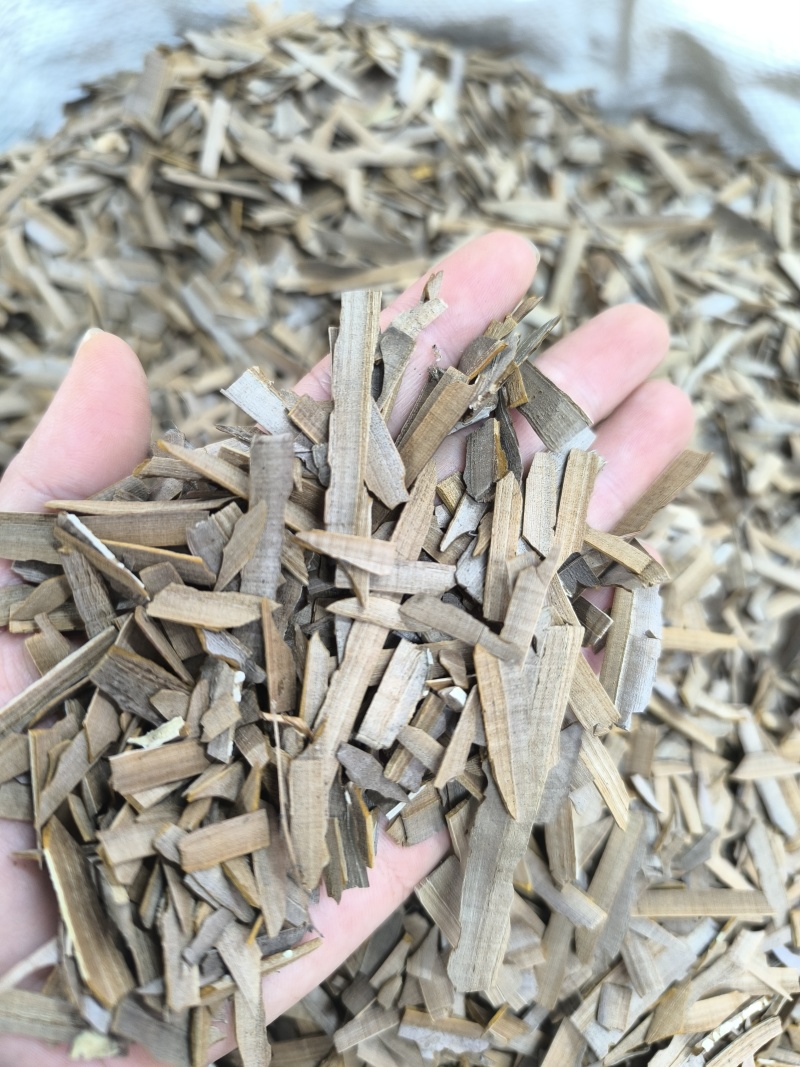 中药材鬼箭羽鬼见羽六月凌鬼见羽鬼剑羽现货批发