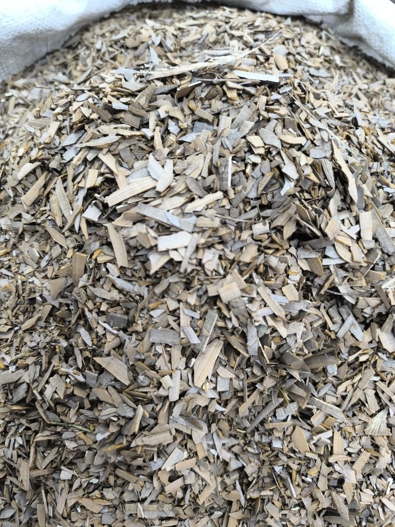 中药材鬼箭羽鬼见羽六月凌鬼见羽鬼剑羽现货批发