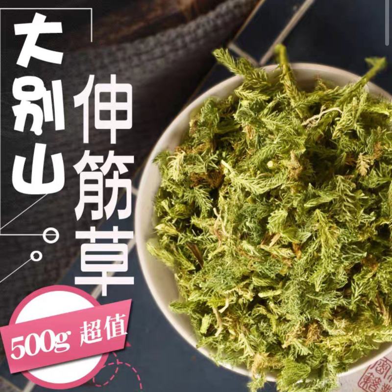 伸筋草中药材大别山伸筋草绿色干净批发价