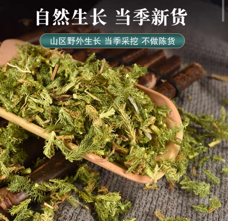 伸筋草中药材大别山伸筋草绿色干净批发价