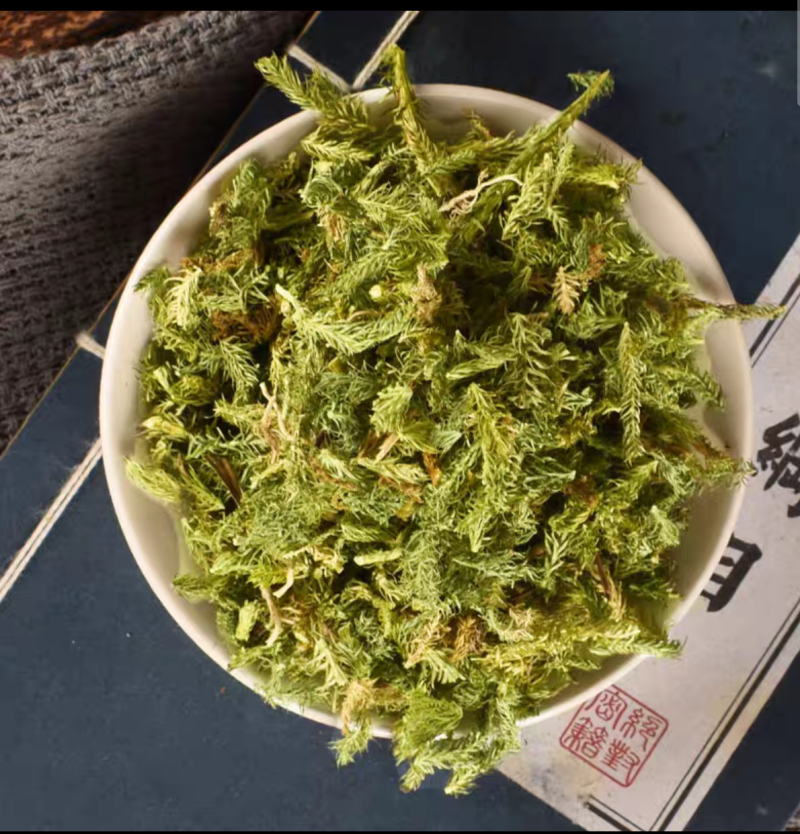 伸筋草中药材大别山伸筋草绿色干净批发价