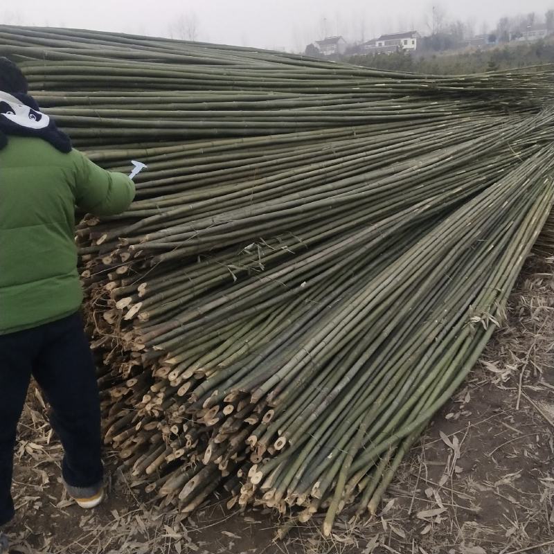 竹竿(精品)，产地直发，量大价优！欢迎咨询！