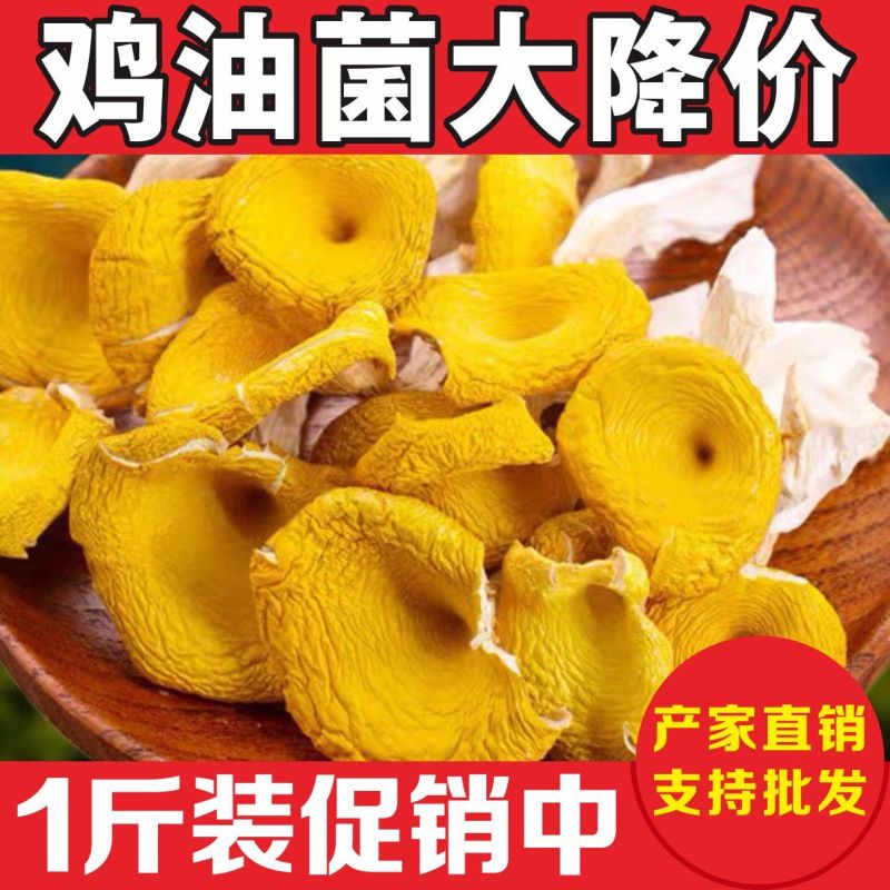 鸡油菌新货云南特产黄金菇菌菇包黄金菇菌汤包菌类干货羊肚菌