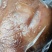 牛头肉熟牛头去骨牛头肉跑江湖赶集超市一手货源