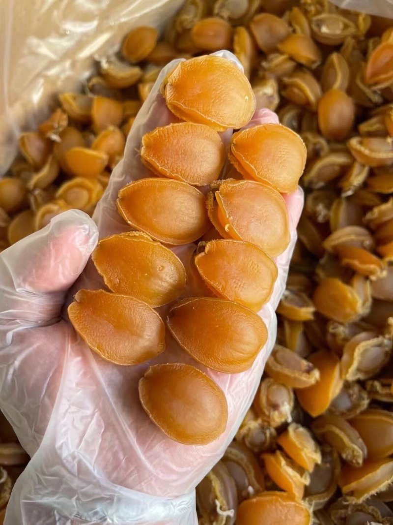 大连鲍鱼干货60头120头批发新鲜淡晒黄金鲍鱼干海鲜佛跳