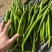 湛江徐闻线椒辣椒。大量的上市价格便宜精品货品