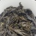 茶叶乌龙茶古法浓香型似大量批发