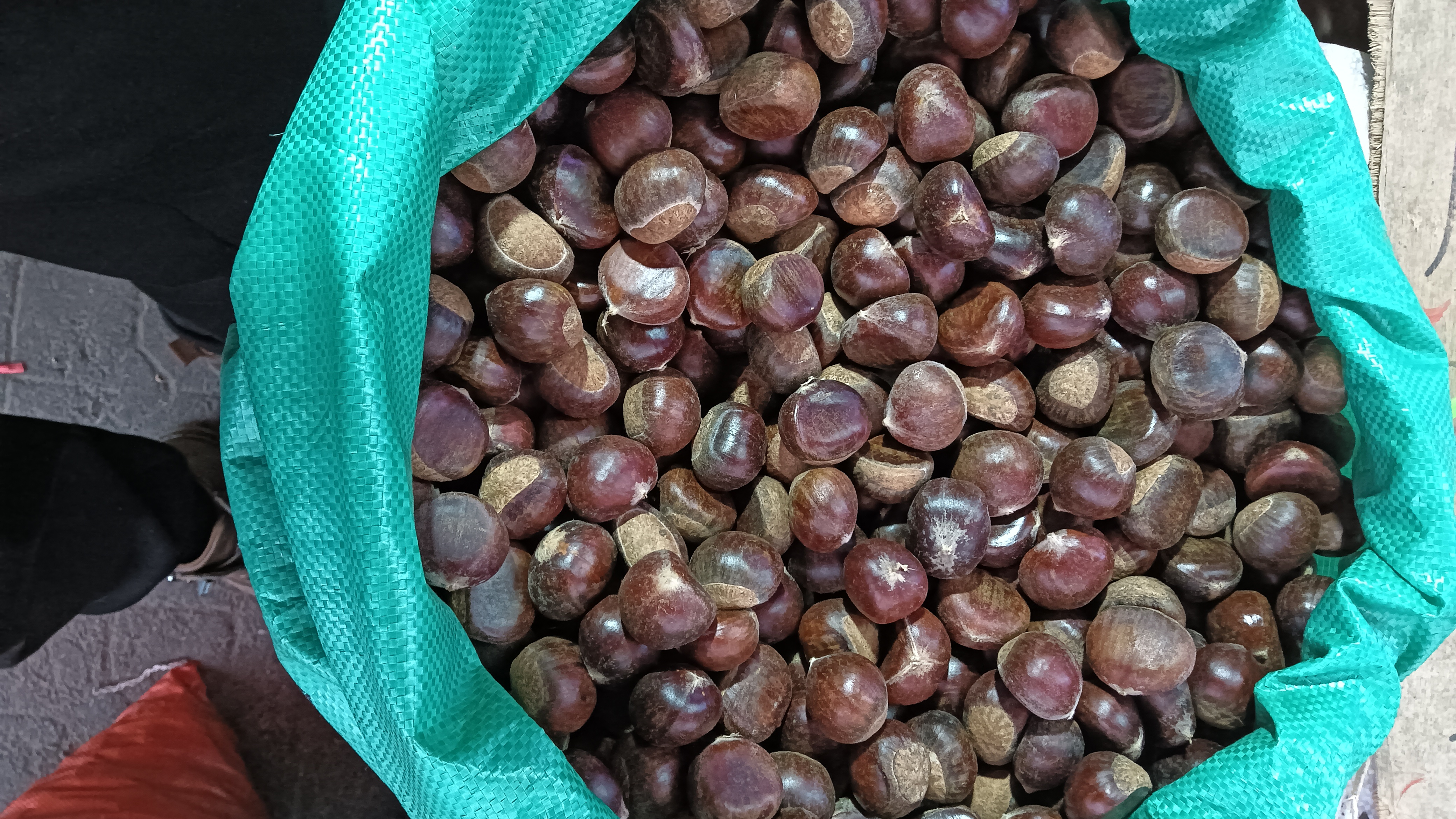 锥子板栗深加工产品展示