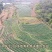 湖南湘潭本地红菜苔，日产1000斤，寻收购商