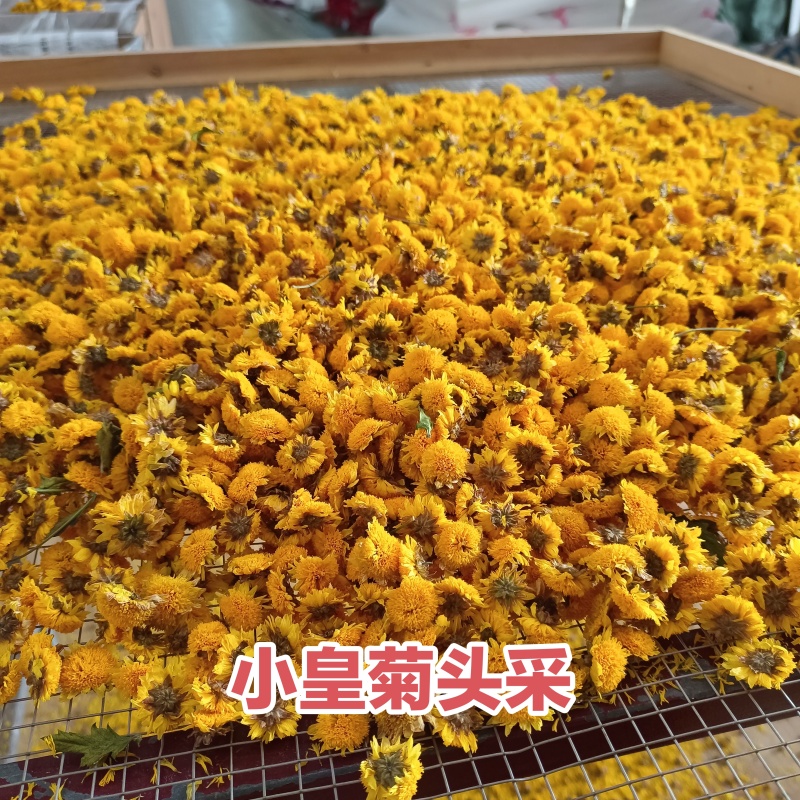 菊花茶修水小黄菊一手货源口感香润香味十足一杯6-10朵