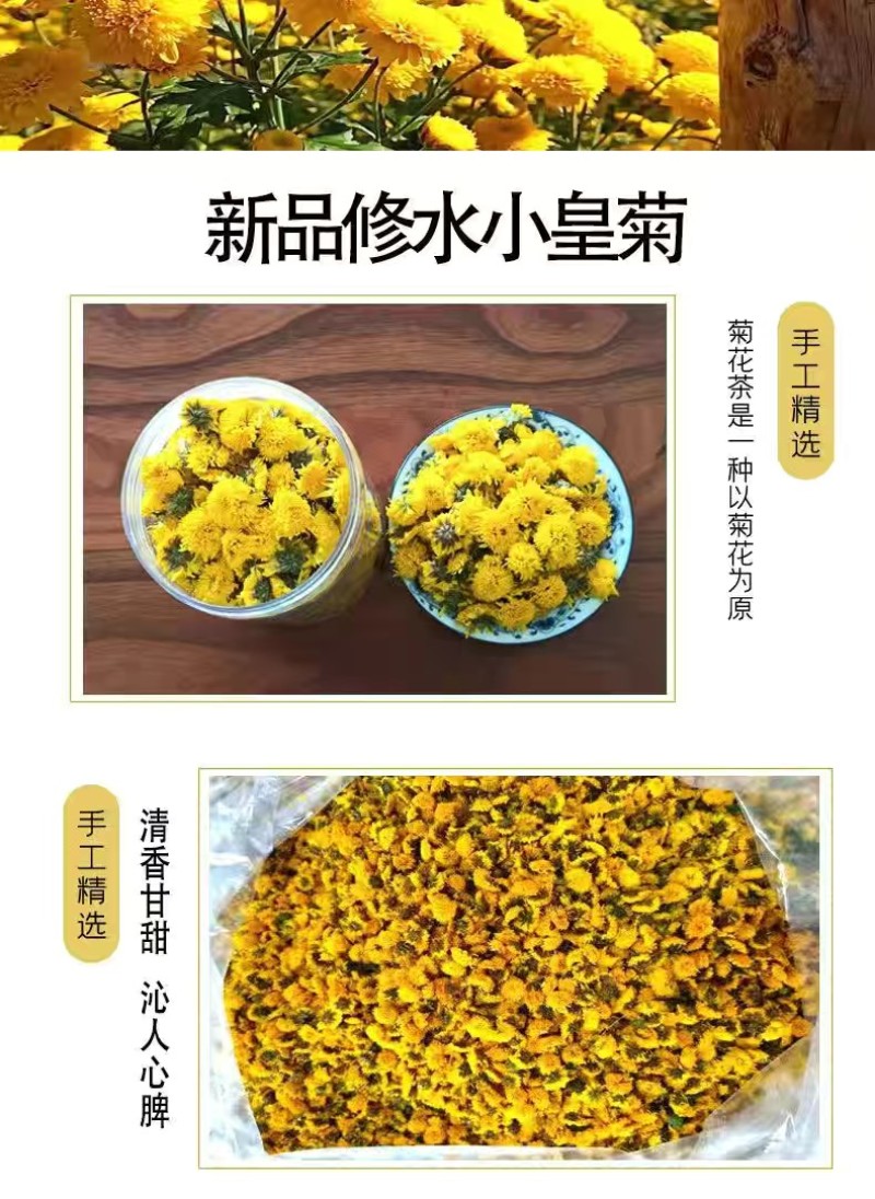 菊花茶修水小黄菊一手货源口感香润香味十足一杯6-10朵