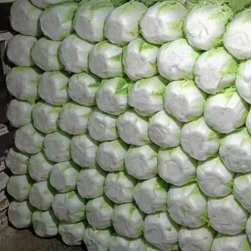 精品陇椒，螺丝椒，大量上市，价格不高，需要的老板联系