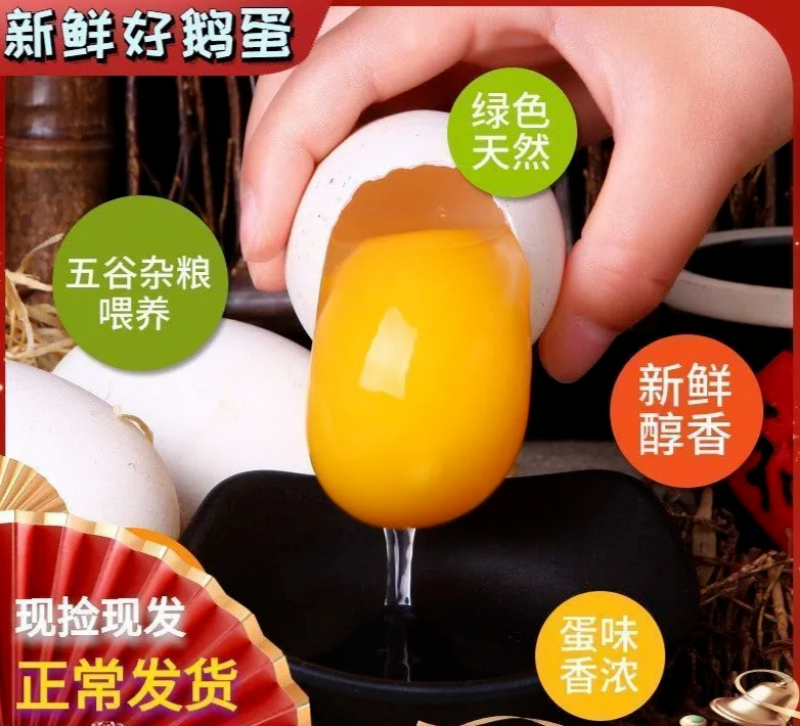 农家土鹅蛋营养丰富受精种鹅蛋可孵化保质保量包邮