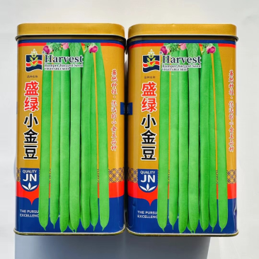 盛绿小金豆种子高产四季豆种子红花中早熟抗寒