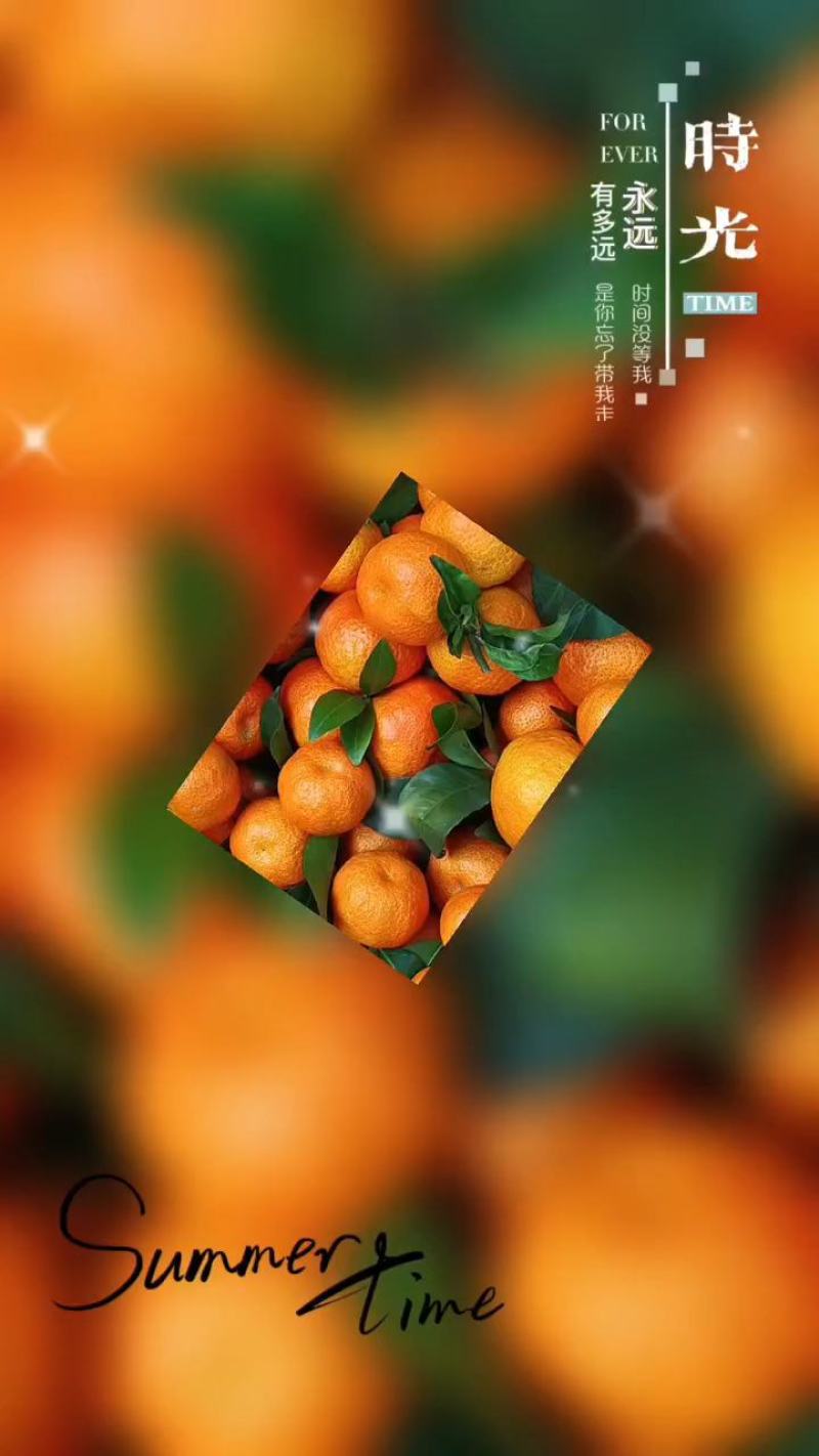 砂糖橘大量现货，产地直供，量大从优，欢迎订购