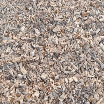 桑枝碎片