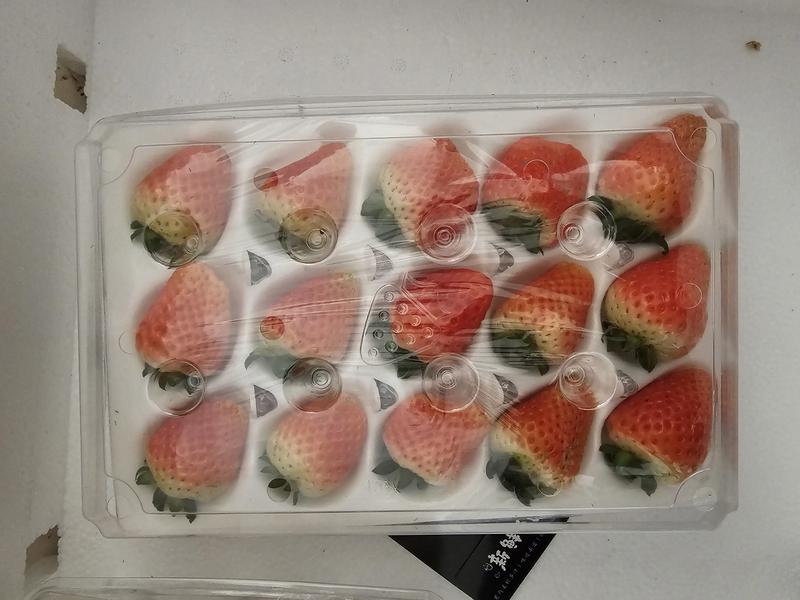 安徽天仙醉草莓