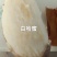【白哈蜜红薯】山东产地直发，大量现货供应，对接批发