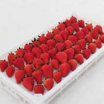 红颜九九奶油草莓