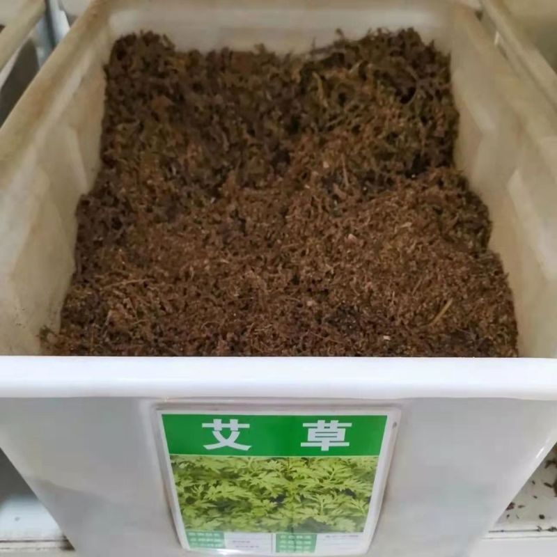 艾草种子药用艾草种子大叶草艾绒香艾草四季种野艾草艾蒿艾叶