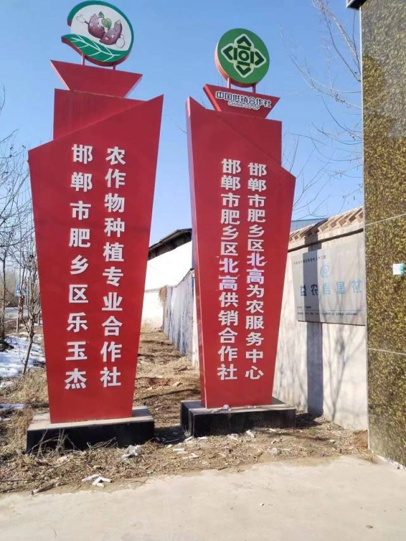 精品红薯西瓜红红薯量大从优质量保证欢迎咨询