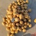 榆林黄心土豆纯沙地优质货品质量保证，大量供应