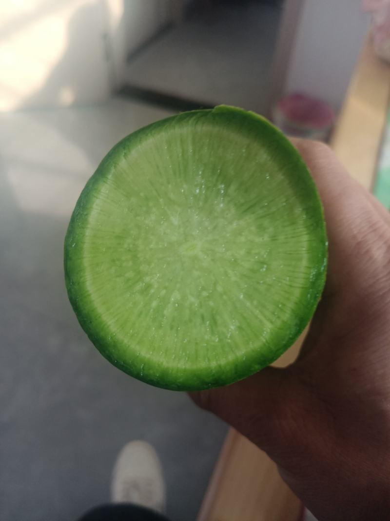 青岛水果萝卜，袋装箱装，加工厂市场电商，产地直发，视频看