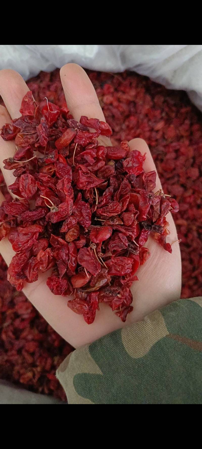 山萸肉，山茱萸，产地一手货源，丹丹中药材批发可打粉