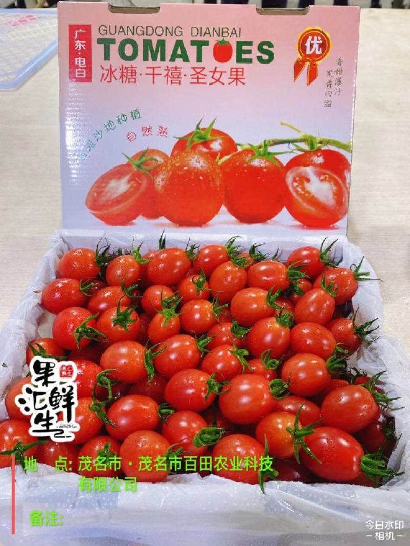 广东电白千禧圣女果产地供应链中心社区团购一件代发