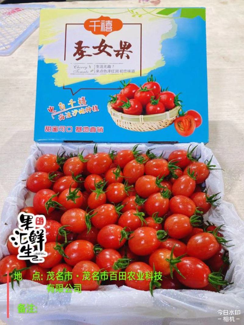 广东电白千禧圣女果产地供应链中心社区团购一件代发