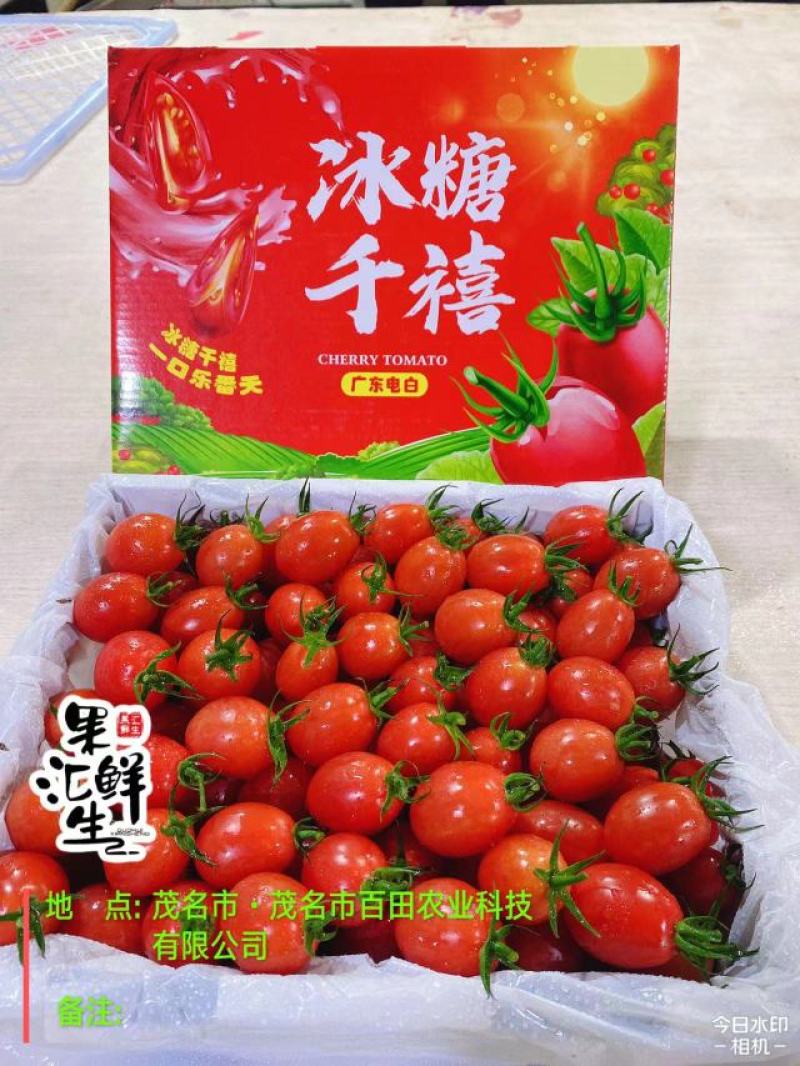 广东电白千禧圣女果产地供应链中心社区团购一件代发