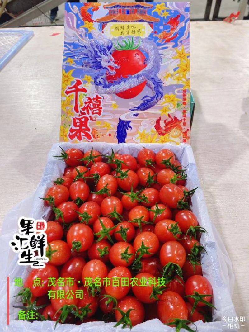 广东电白千禧圣女果产地供应链中心社区团购一件代发