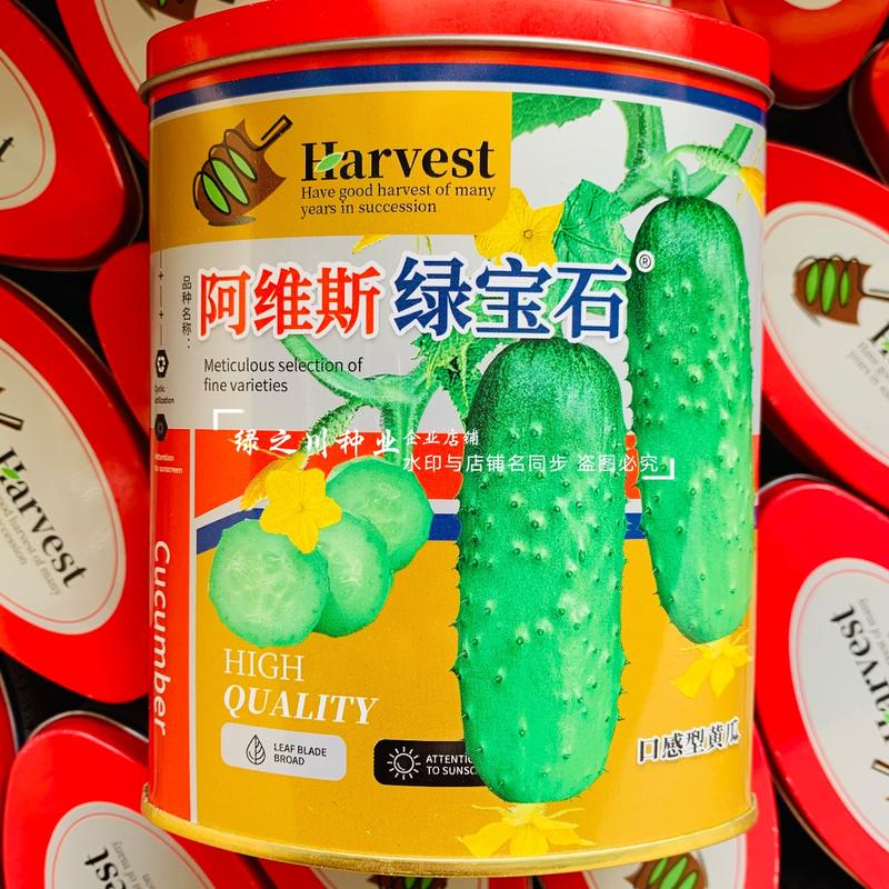 绿宝石黄瓜种子甜脆薄皮清香黄瓜味浓水果黄瓜种籽连续结瓜强
