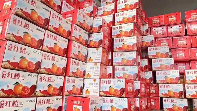 【推荐】湖北秭归中华红血橙，优质供货商，果园直供，量大。