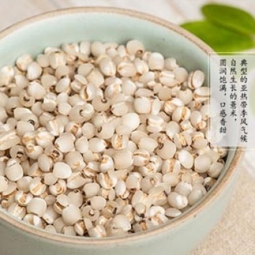 薏米，薏仁！