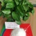 大量元素水溶肥高磷型