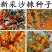 大果沙棘种子小果沙棘种庭院阳台室外植物绿化苗木护坡灌木草