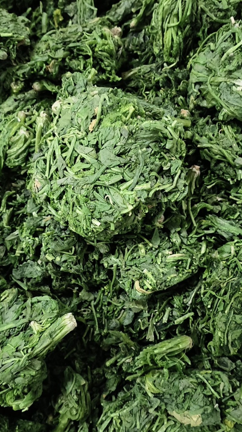 荠菜加工厂家直发碎菜块菜盒菜品质保证
