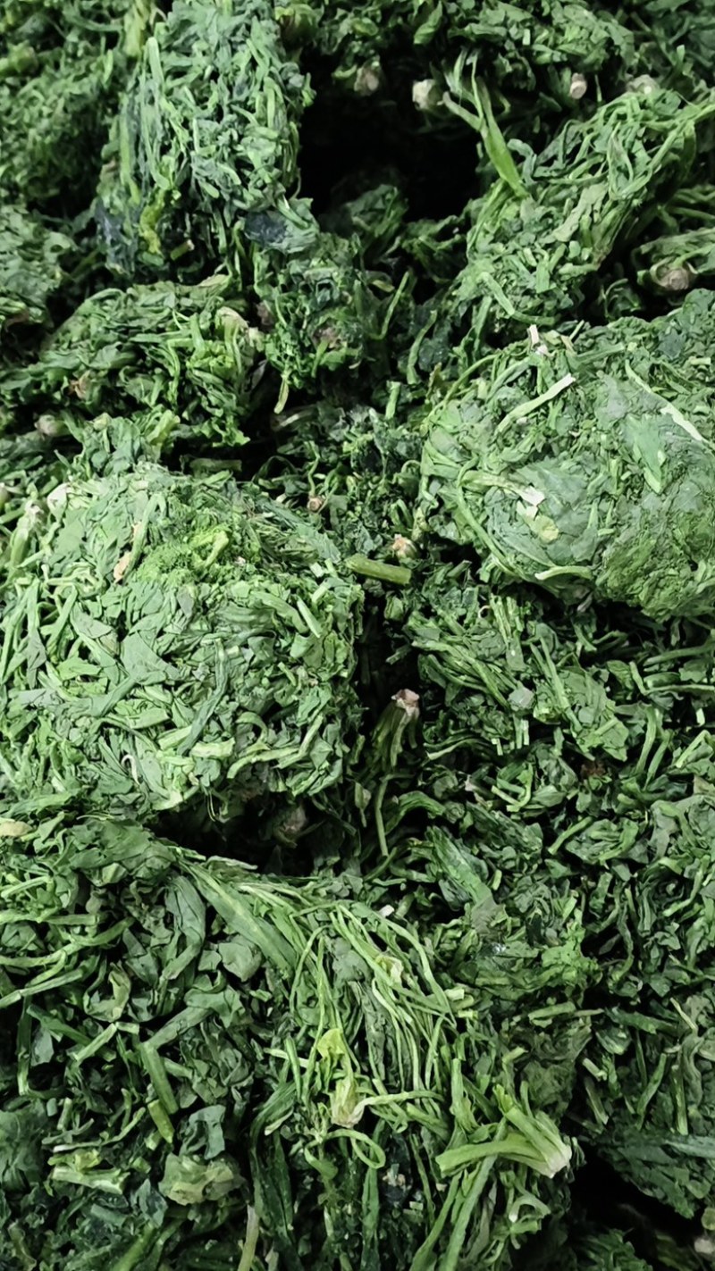 荠菜加工厂家直发碎菜块菜盒菜品质保证