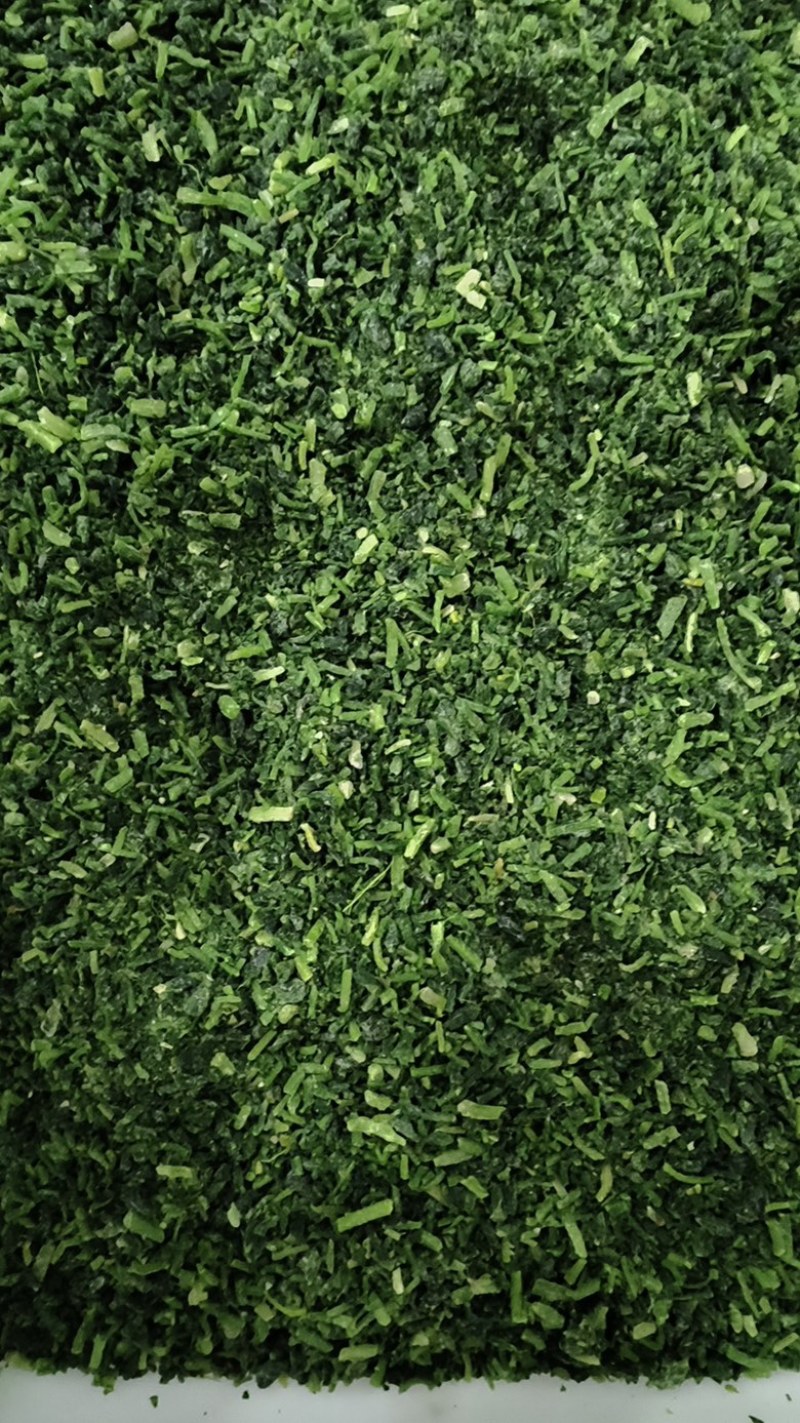 荠菜加工厂家直发碎菜块菜盒菜品质保证